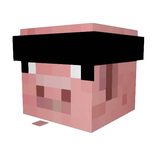 Hinsi_Master Minecraft avatar head, 3D render