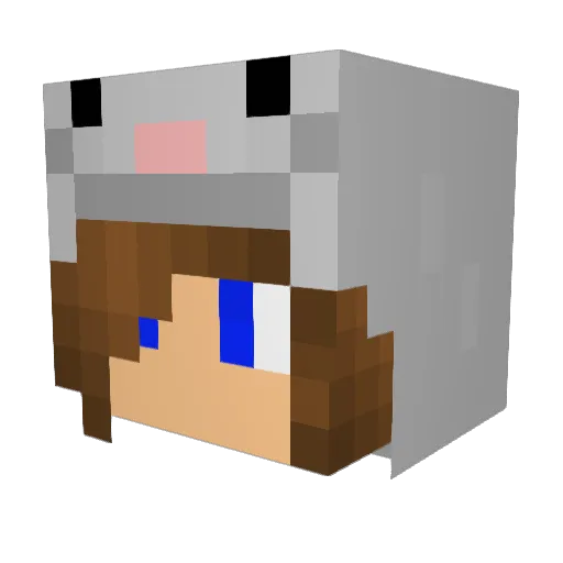 Hintzify Minecraft avatar head, 3D render