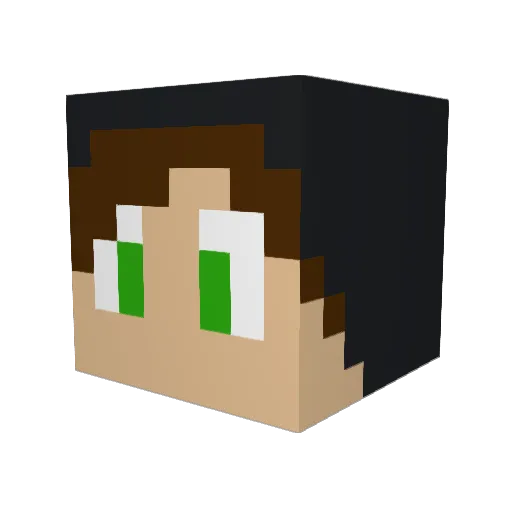 Hiodyn Minecraft avatar head, 3D render