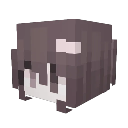 Hioop Minecraft avatar head, 3D render