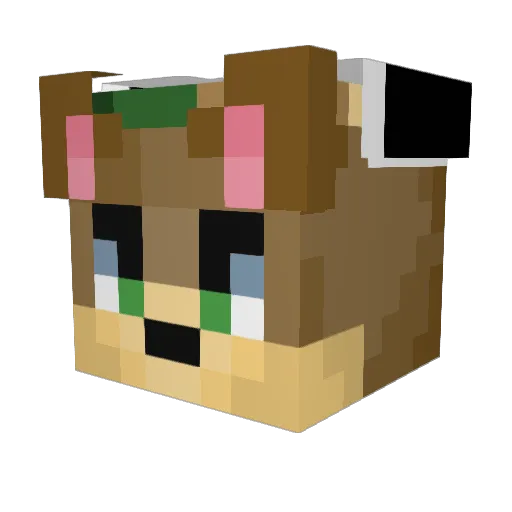 Hiopwi Minecraft avatar head, 3D render