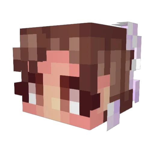 HipCzeched Minecraft avatar head, 3D render