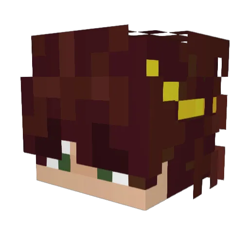 Hiperionas Minecraft avatar head, 3D render