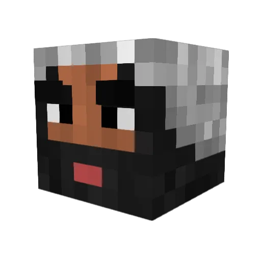 Hipes_driver_Cat Minecraft avatar head, 3D render