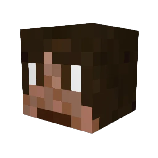Hippie757 Minecraft avatar head, 3D render