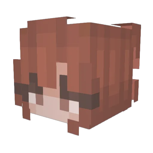 HippieBugs Minecraft avatar head, 3D render