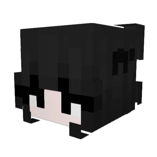 Hippo0108 Minecraft avatar head, 3D render
