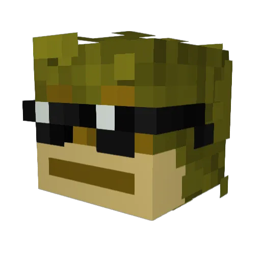 HippoDan10 Minecraft avatar head, 3D render