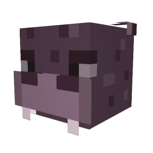 HippoHacks Minecraft avatar head, 3D render