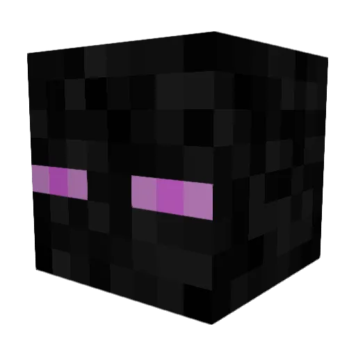 HippoRider501 Minecraft avatar head, 3D render