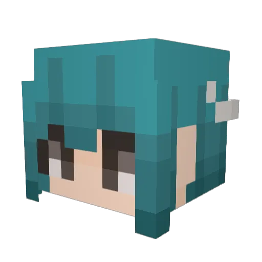 HippoTheCat Minecraft avatar head, 3D render
