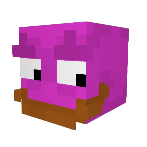 Hippo_Playzz Minecraft avatar head, 3D render