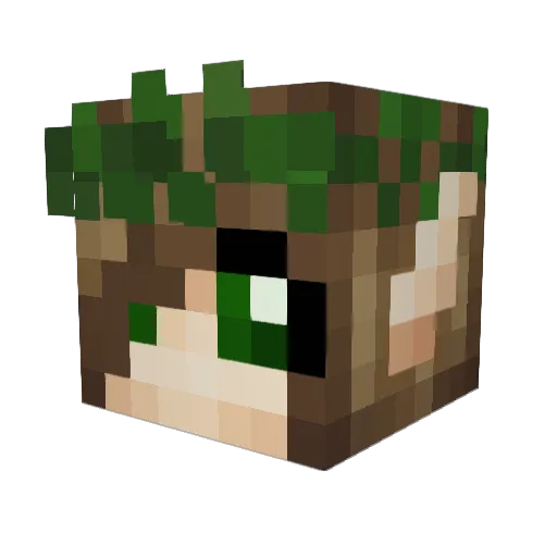 Hippo_powers Minecraft avatar head, 3D render