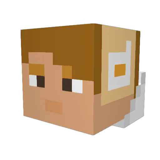 Hippocrates Minecraft avatar head, 3D render