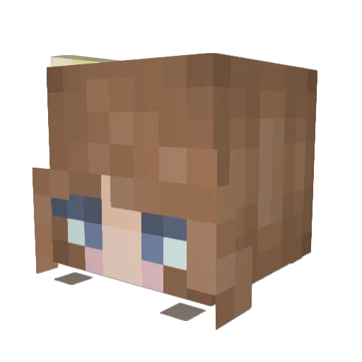 Hipposier Minecraft avatar head, 3D render