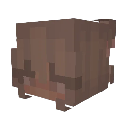 HippyDippy101 Minecraft avatar head, 3D render