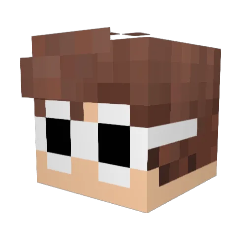 Hips88 Minecraft avatar head, 3D render