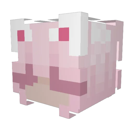 HipsterQuinn Minecraft avatar head, 3D render