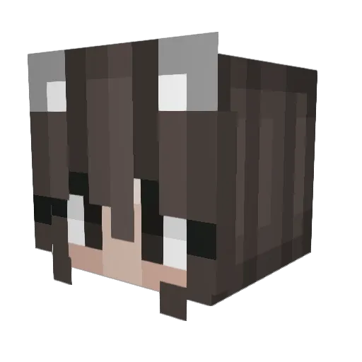 Hipster_Bunny Minecraft avatar head, 3D render