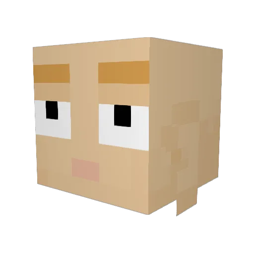 HiqhHills Minecraft avatar head, 3D render