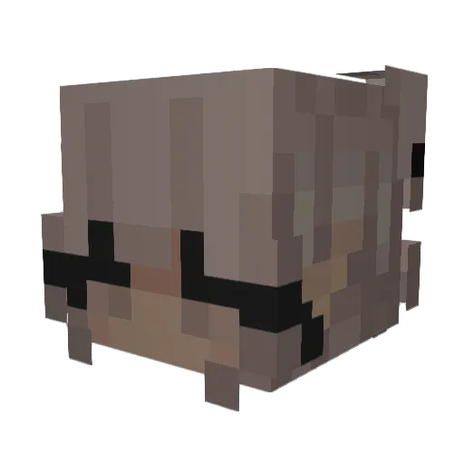 HiraIsTheBest Minecraft avatar head, 3D render