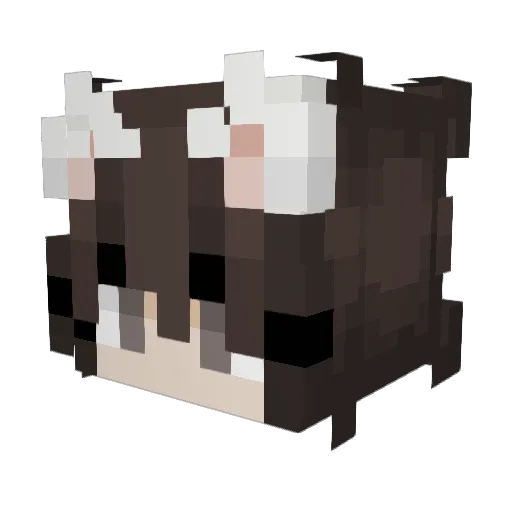 HiraX22 Minecraft avatar head, 3D render