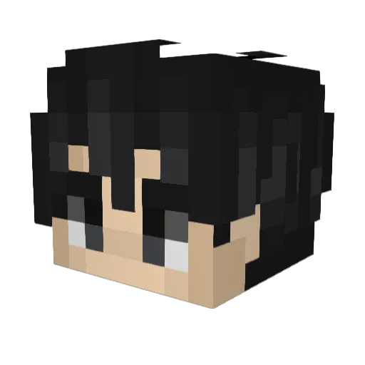 Hiraku1114 Minecraft avatar head, 3D render