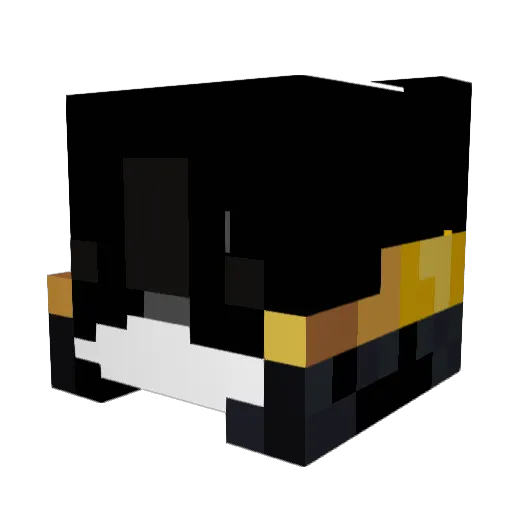 Hiraku_fr Minecraft avatar head, 3D render