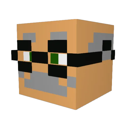 Hirem11 Minecraft avatar head, 3D render