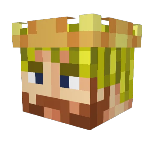 Hirn_ Minecraft avatar head, 3D render