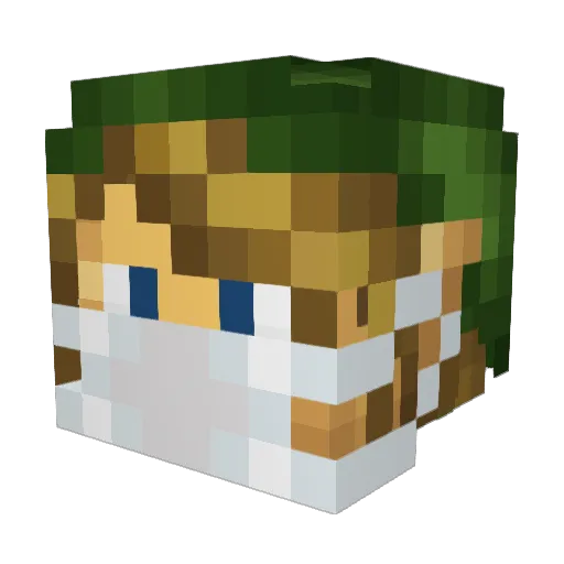Hirndirk Minecraft avatar head, 3D render