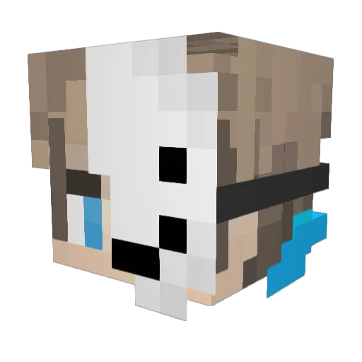 Hirnichopf2012 Minecraft avatar head, 3D render