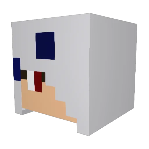 HirokiAbsol Minecraft avatar head, 3D render