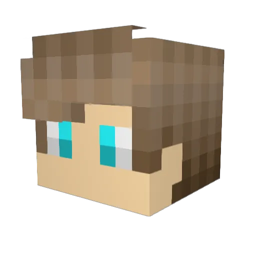 Hiroki_OHC Minecraft avatar head, 3D render
