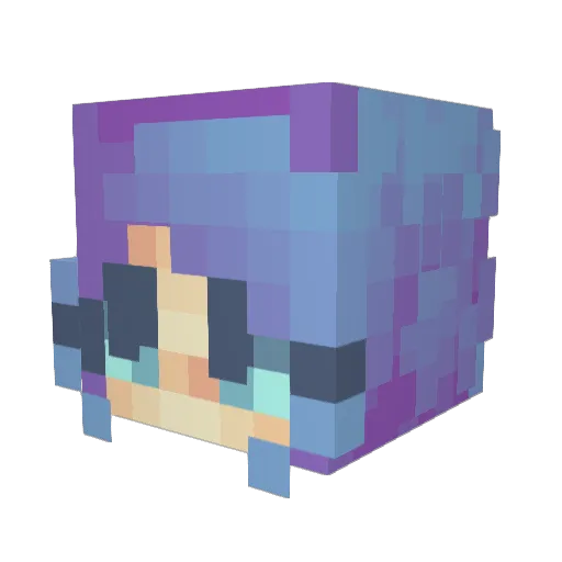 HisBvnny Minecraft avatar head, 3D render