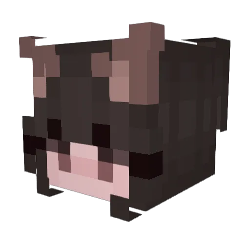 HisPinguin Minecraft avatar head, 3D render