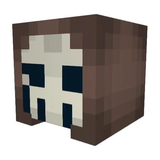 His_Lordsh1p Minecraft avatar head, 3D render