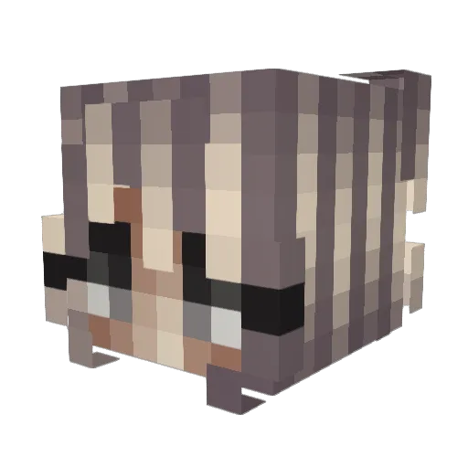Hishiroop Minecraft avatar head, 3D render