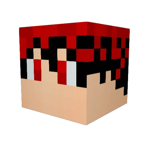 Hisoka_4 Minecraft avatar head, 3D render