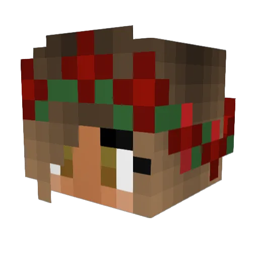 Hisoka_Lol Minecraft avatar head, 3D render