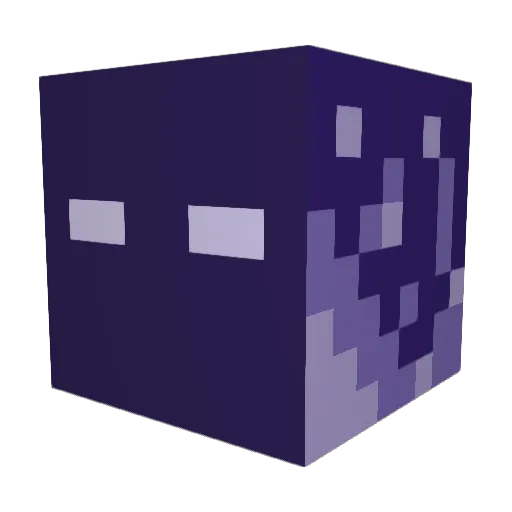 Hisokas_Friend Minecraft avatar head, 3D render