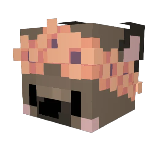 Hissong Minecraft avatar head, 3D render