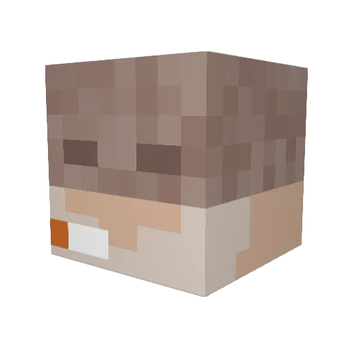 HitALick56 Minecraft avatar head, 3D render