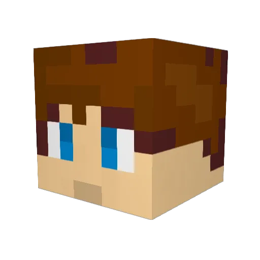 HitAndRun73 Minecraft avatar head, 3D render