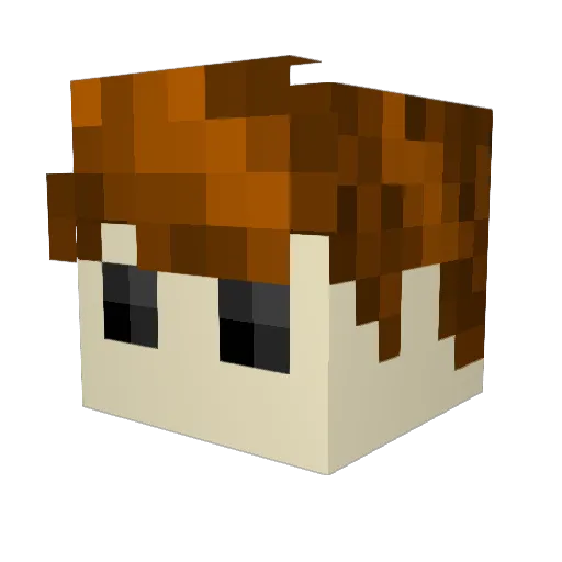 HitPointsHarry Minecraft avatar head, 3D render