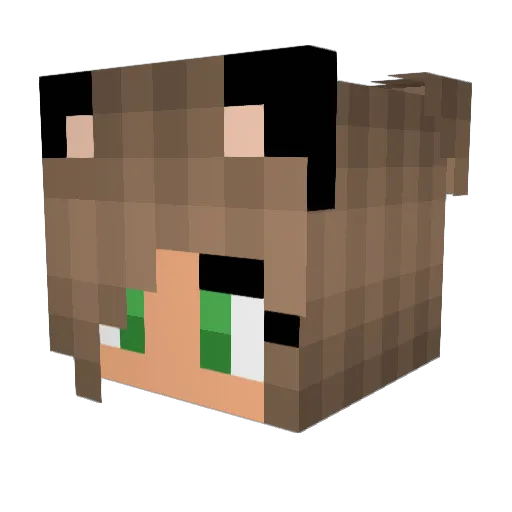 Hit_Dat_NaeNae Minecraft avatar head, 3D render