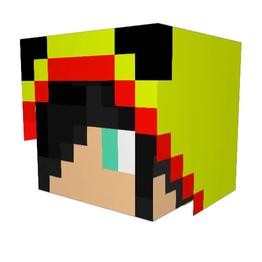 Hit_The_Hawk Minecraft avatar head, 3D render