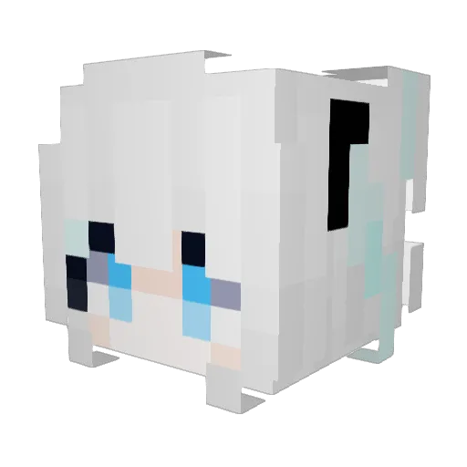 HiterRR Minecraft avatar head, 3D render
