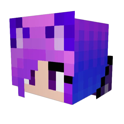 HitmanOtaku Minecraft avatar head, 3D render