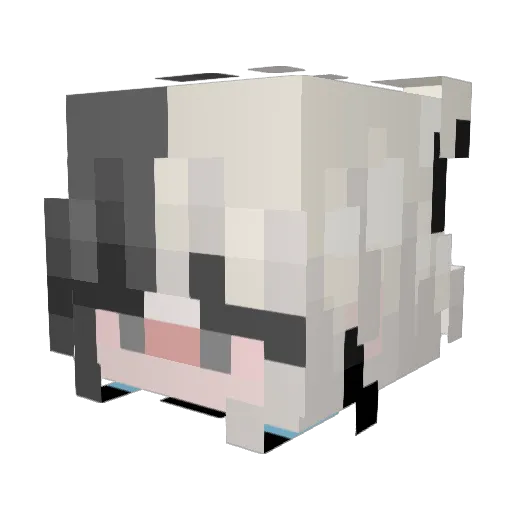 HitoriTae Minecraft avatar head, 3D render